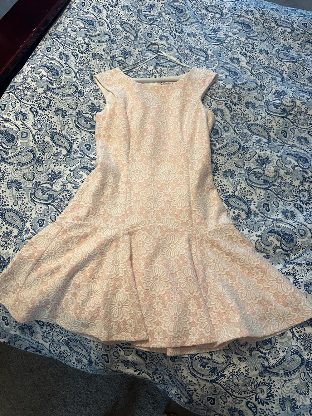 Nanette Lepore Pink and White Floral Lace Fit-and-Flare Mini Dress